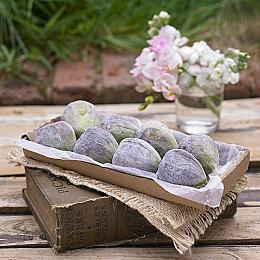 卡牌Rogue游戏《战斗乐团》发布 战胜强敌成为摇滚传奇